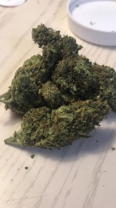 Space Cake | Marijuana Strain Reviews