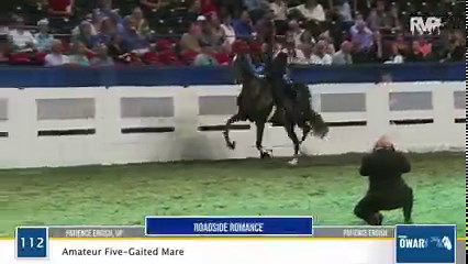 What an amazing evening at the World's Championship Horse Show! Check out all of today's winners and join us again tomorrow for another full day! | Richfield Video Productions