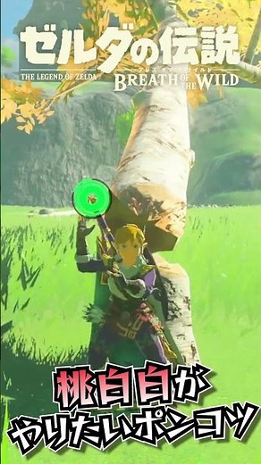 桃白白がしたい・・・【ゼルダの伝説BotW〜気ままにゆるり旅〜】#ゼルダの伝説 #ブレスオブザワイルド ＃ブレワイ#ポンコツ #ゲーム実況 ＃桃白白＃失敗