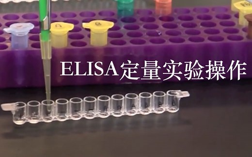 ELISA定量实验操作