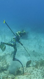 Expert Underwater Spearfishing | Ryan Myers