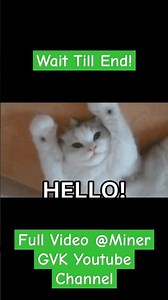 Toolbox 1.21.72 | Toolbox For Minecraft 1.21.72 Released | New Update 1.21.72 | All Problem Solved