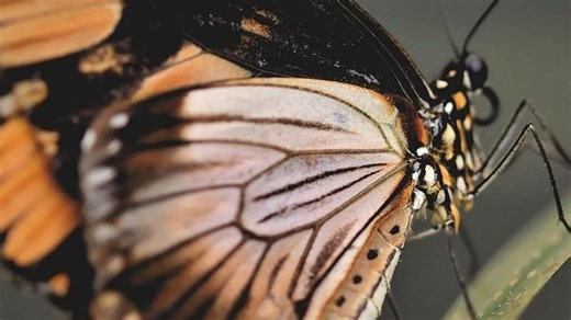 Why famous celebrities secretly battle bizarre phobias