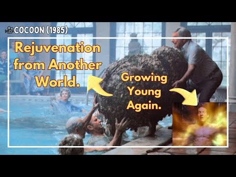 They Swam in a Pool… and Became Young Forever! | Sci-Fi Movie Recap
