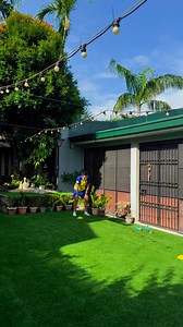 11K views · 468 reactions | How much agility does a 54 year old body have left? Puede ba maibalik ng kaunti? Cone exercises muna tyo.. | Councilor Rico Golez | Facebook