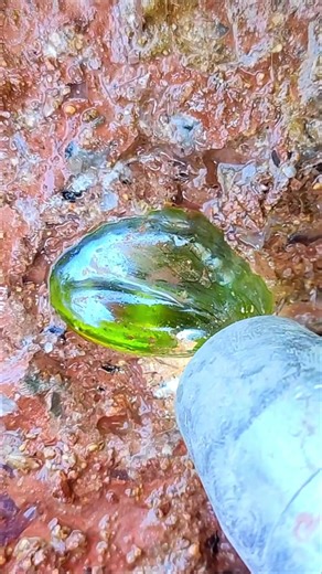 Discover the Beauty of Precious Stones and Rare Gems