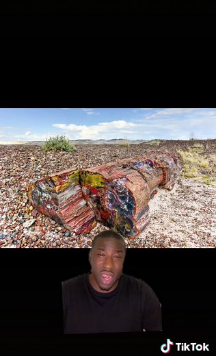 Petrified forest #arizona #petrified #forest #stone #minecraft #mining #petrifiedwood #nationalpark #mudflood #resources #marble #crystals