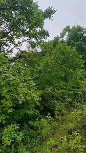 1.7K views · 111 reactions | ಲೋ ಬಜೆಟ್ ನಲ್ಲಿ Eiffel tower  . . @mr_malnad_15 #jog #sagara #adventure #trveling #bikelovers #photooftheday #videoediting #new #creative #effiletower #low #malnad | Mrmalnad PK | Facebook