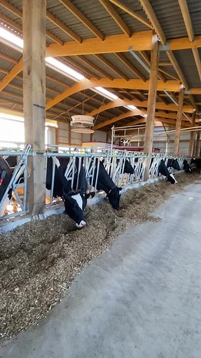 TikTok · HLG MACHINERY