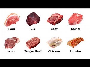 Every Animal Meat Explained