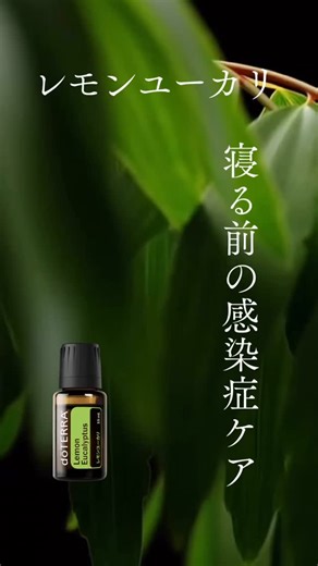 不純物ゼロのアロマ（精油）のレシピ🌱 | 📣「抗ウイルス、抗菌は薬じゃできない！」 ぜひ、予防に使ってください💚 🌿 レモンユーカリの使い方 ストレス・不安 → 前向きエネルギー🙌 ✅ ① 朝・仕事前（気持ちを整える） 使い方 • 手に1滴とって香りを吸う • ディフューザーで芳香浴 •... | Instagram