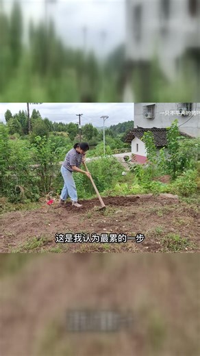 这猫将来长大了比旁边蹲着的有出息！