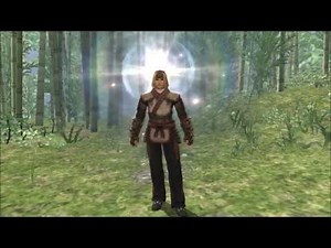 Final Fantasy XI: Monk Guide (Part II - Follow-Up)