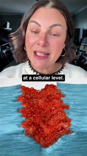 📡 @gainswave — Redefining Regenerative Wellness, One Pulse at a Time