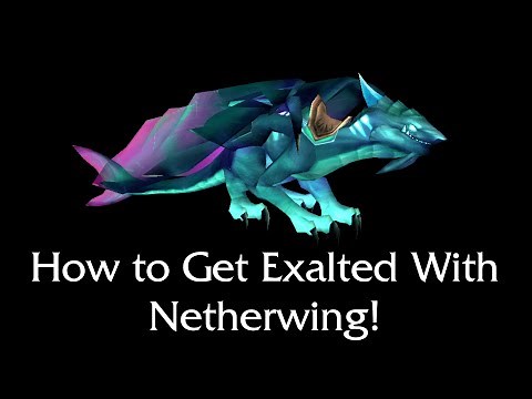 How to Get Exalted With Netherwing! - World of Warcraft Guide