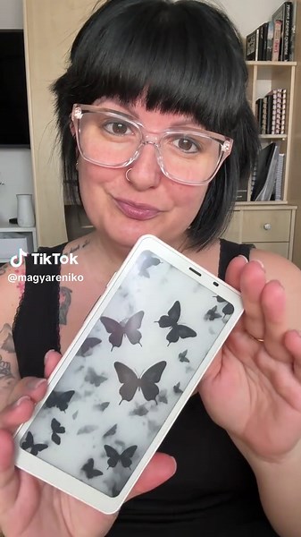 Exploring the ONYX BOOX PALMA 2 E-reader