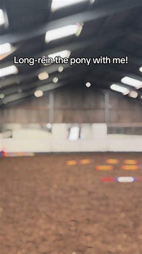 My second ever time long-reining! Definitely some improvement needed but he was a good boy! #equestrianlife #horse #pony #horsegirl