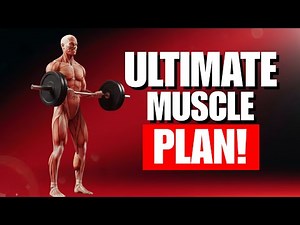 8 Simple Exercises Every Man Needs to Build a Strong Full Body (Get Jacked Fast)