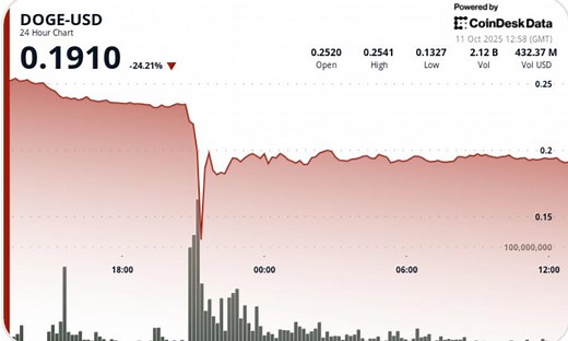 DOGE Price News: Dogecoin Suffers 50% Flash Crash