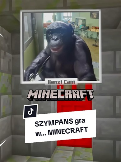nauczył SZYMPANSA grać w... MINECRAFTA, a ten pokonał ENDER DRAGONA 🔥🤯 #gry #ciekawostki #gaming #minecraft #monkey