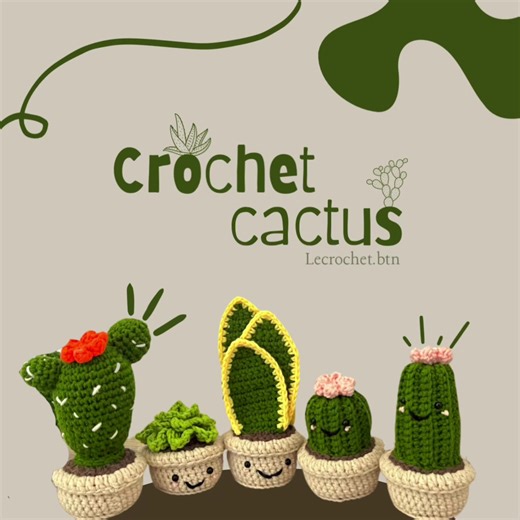 New Crochet Cactus Price Variations and Updates