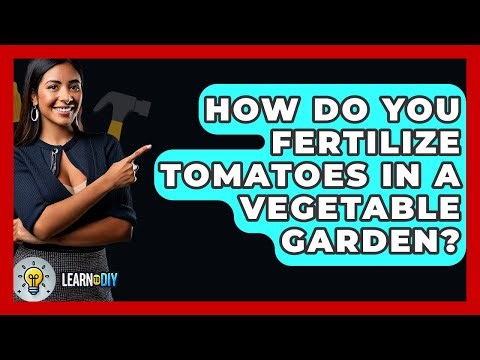 How Do You Fertilize Tomatoes In A Vegetable Garden? - LearnToDIY360.com