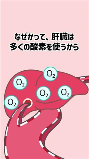 すごすぎる赤ちゃんだけの仕組み