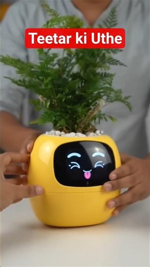 The Plant Pot with a Personality! 🤖🌿 #Shorts🫨