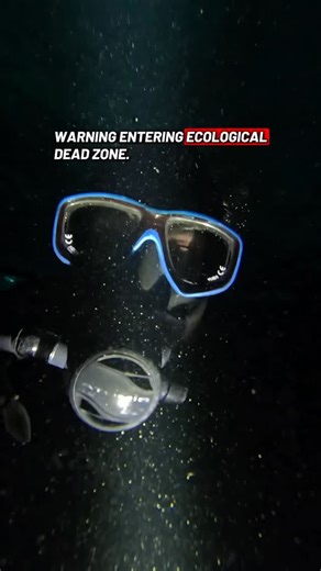 SCUBA DAN 🤿 on Instagram: "Subnautica team I had to leave you on this one! 🏃‍♂️ 💨 😧 The mission started out great but l know that noise so l’m out. I cannot redirect a leviathan. Let me know when you get back from the ecological dead zone. Stay safe. #subnautica #subnauticabelowzero #scubadiving #nightdive #leviathan"