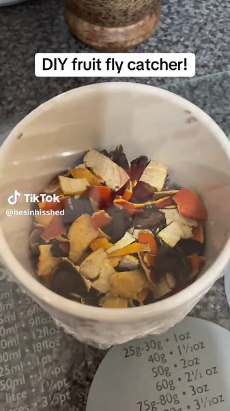 Easy DIY Fruit Fly Catcher Hacks
