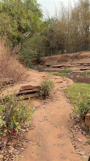 Vidéos de SIRA 🦋la MaLienne 🇲🇱🦋 (@sira.la.malienne1) avec son original - sira_la_malienne_fan