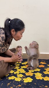 Smart Baby Monkey In Home . . . #reel #cute #animals #lovely #newbornbabymonkey #monkey | Tv Show