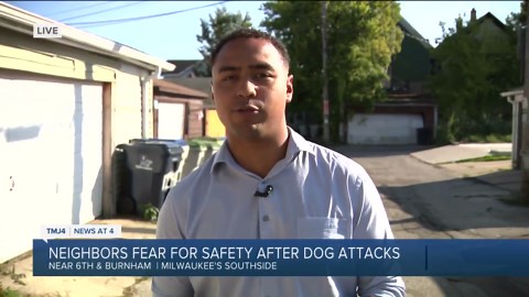Man attacked by 2 dogs in Milwaukee's southside
