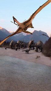 Pterosaurs were a group of flying reptiles that lived alongside dinosaurs, spanning from the Triassic to the Cretaceous periods (about 225 to 66 million years ago). They had a wide range of sizes, from the small Anurognathus, with a wingspan of just 1 meter, to the enormous Quetzalcoatlus, which had a wingspan of 10-12 meters. Unlike modern birds, pterosaurs had membranous wings, supported by an elongated fourth finger, giving them unique flight capabilities. They were not dinosaurs but shared t