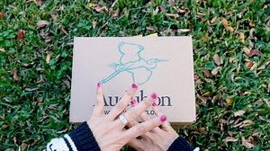 525 reactions · 40 shares | The Wild Turkey is a symbol of the fall season. Show thanks to your bird-loving friends and family by symbolically adopting a Wild Turkey today! | National Audubon Society | Facebook