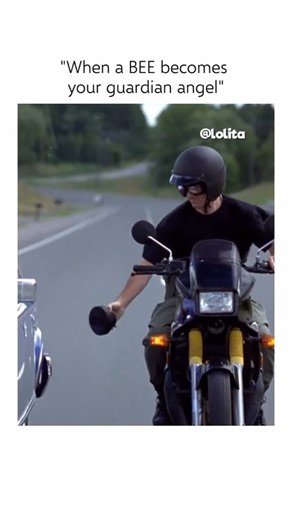 vibe_with.rubyy🩷 on Instagram: "🐝 Interesting Fact: The Stupids (1996) — In this hilariously absurd sequence where Stanley Stupid believes a bee is a “guardian angel” or a “drive-bee,” the production team had to meticulously coordinate the car’s explosion with Tom Arnold’s comedic timing to ensure he was framed perfectly amidst the chaos. The movie is based on the popular children’s book series by Harry Allard, and to capture the books’ nonsensical spirit, director John Landis insisted on prac