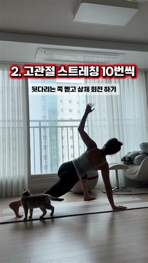 골반 전방경사 필수 운동 루틴 🐥 #코어운동 #골반운동 #골반교정 #전방경사 #pelvichealth #deepcore #pelvicfloor