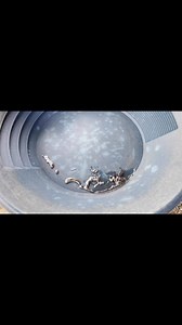 122K views · 510 reactions | Have you ever found mercury while gold panning? | Sluice Box Karl | Facebook