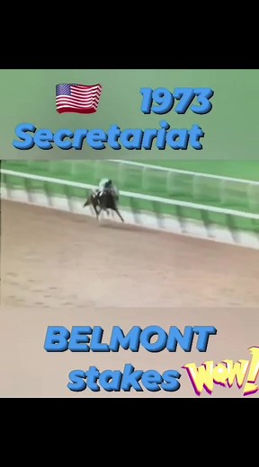 Secretariat - Legendary Belmont Stakes Race 1973