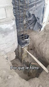 Por qué le forro | El maistro y el ing vrg