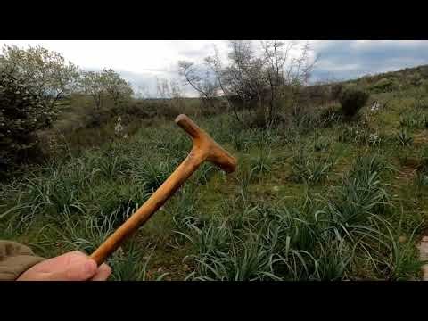 350. ΑΡΙΕΓΗΣ - ARIEGEOIS ΓΑΛΛΙΚΑ RAFALE (ALEX BILL)