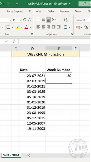 WEEKNUM Function in Excel