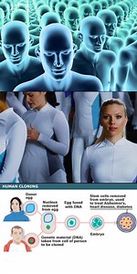 Scientists Successfully Clone First Human Embryo from Adult Cells