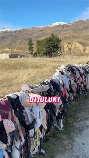 Unique Fences in New Zealand