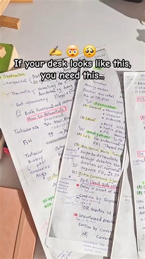 1.5K views · 13 reactions | used to have papers everywhere  switching to my digital notebook (link in bio) made studying actually aesthetic and organized ✨ no more losing notes or messy pages ☕ follow @lumi.studymotive for more study inspo + digital setups #studygram #digitalnotes #ipadstudy | Lumi.Studymotive | Facebook