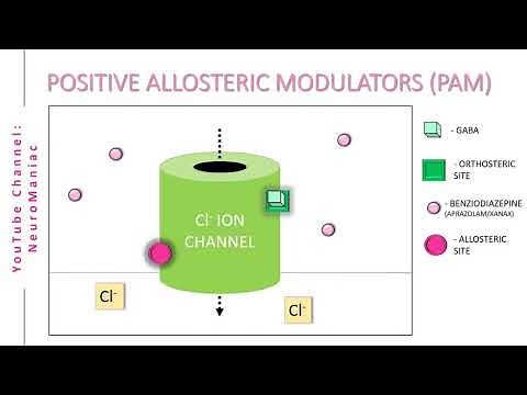 NEUROSCIENCE - POSITIVE AND NEGATIVE ALLOSTERIC MODULATORS WITH EXAMPLES