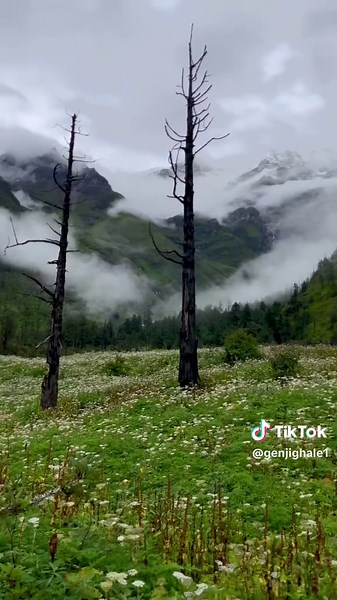 Exploring Uukhanda: Nature Lover's Paradise in Lamjung