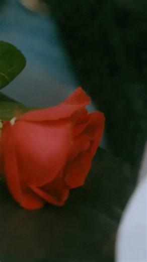LOVE BOMBS. OUR NEW SINGLE OUT NOW. #blocparty #newmusic