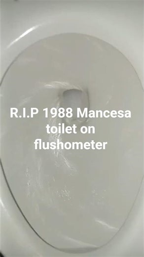 crappy Corona Baltic toilet (replaced a 1988 Mancesa toilet on flushometer)