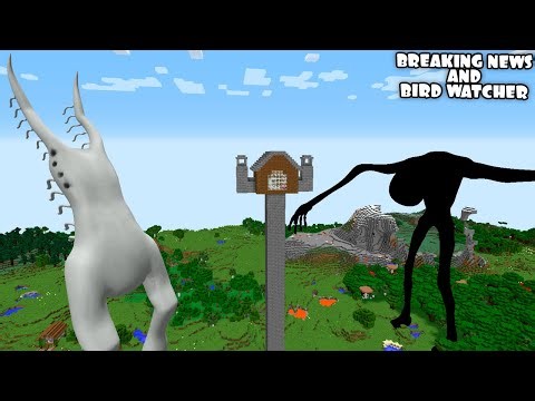 SURVIVING FROM BREAKING NEWS AND BIRD WATCHER in Minecraft - Coffin Meme - Gameplay